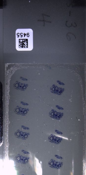 Media type: image; Special Collections 3102   shows specimen_part histological serial section;  Description: Whole slide scan, SC-3102, slide 4;
